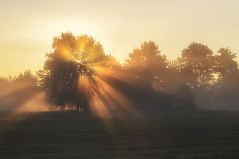 На рассвете фото превью