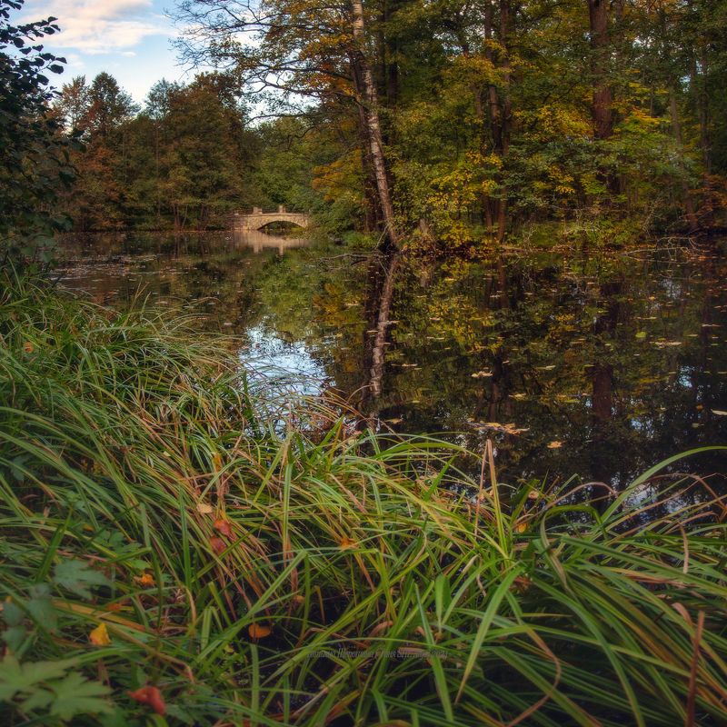 александрия, пейзаж, петергоф, landscape, сергиевка, ленобласть, ленинградская область Вечер в Сергиевке фото превью