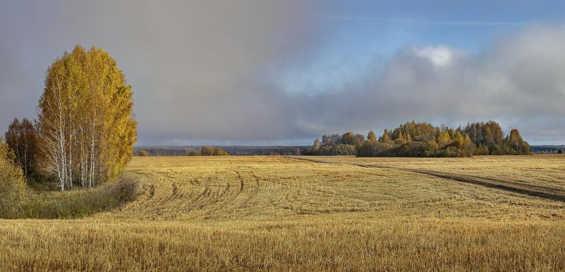 ... фото превью