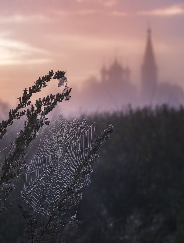 на рассвете фото превью