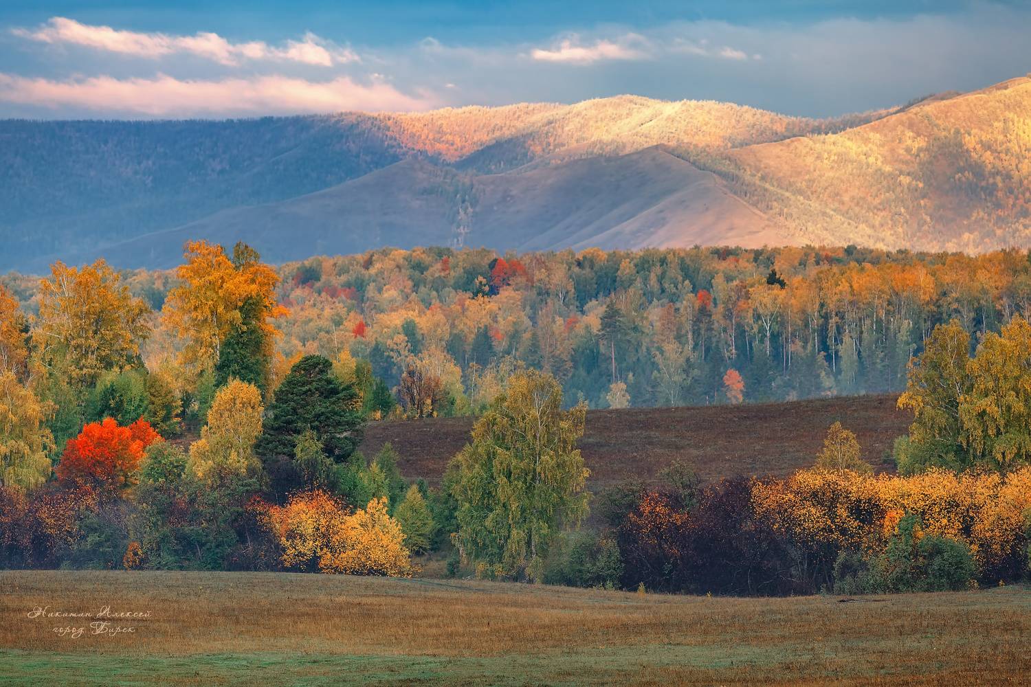 , Никитин Алексей