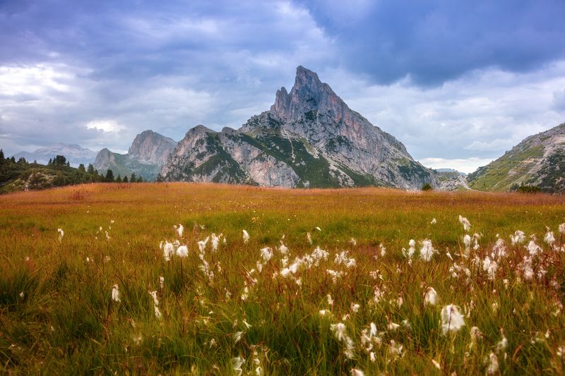 alps, mountains, italy, autumn, dolomites, autumn grasses a breath of autumn... фото превью