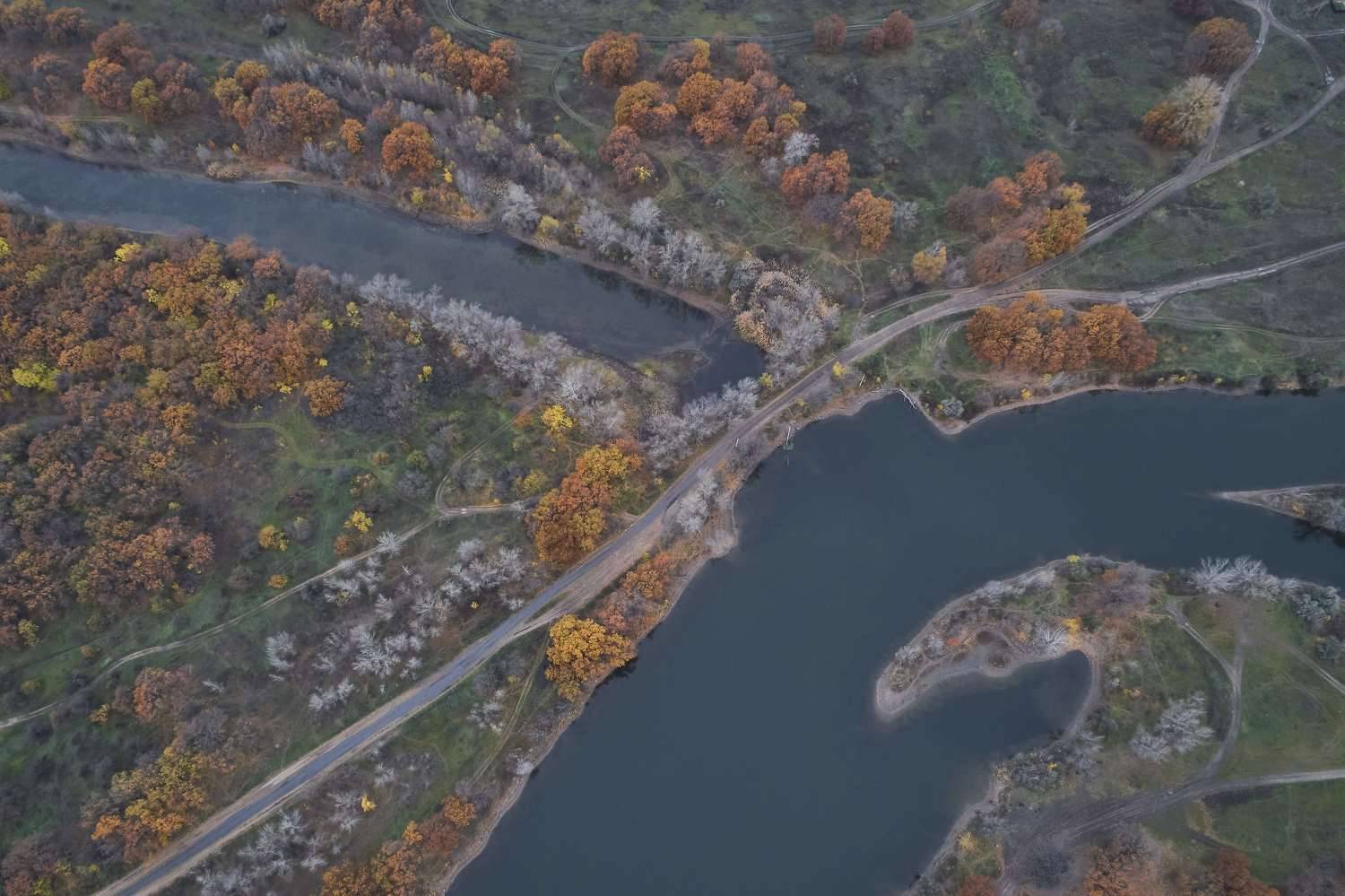 autumn, volgograd, russia, wildlife, , Павел Сторчилов