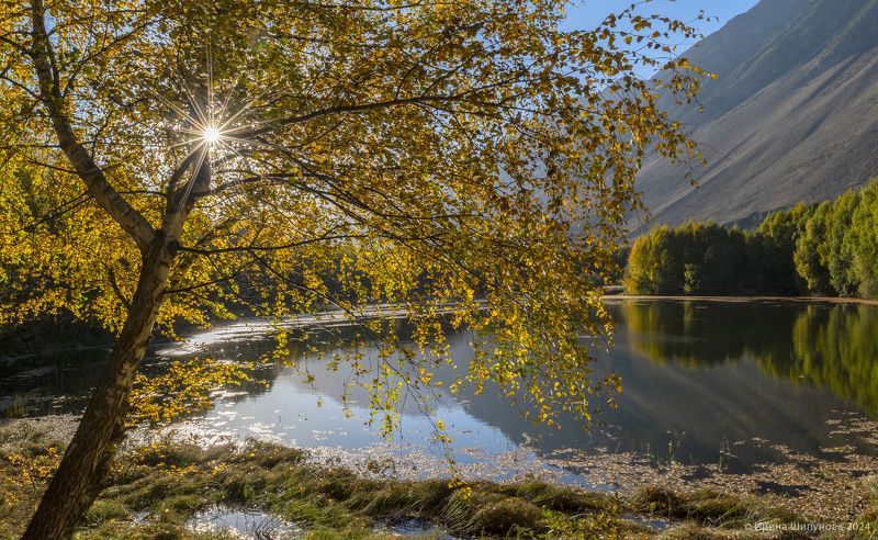 Золото осени фото превью