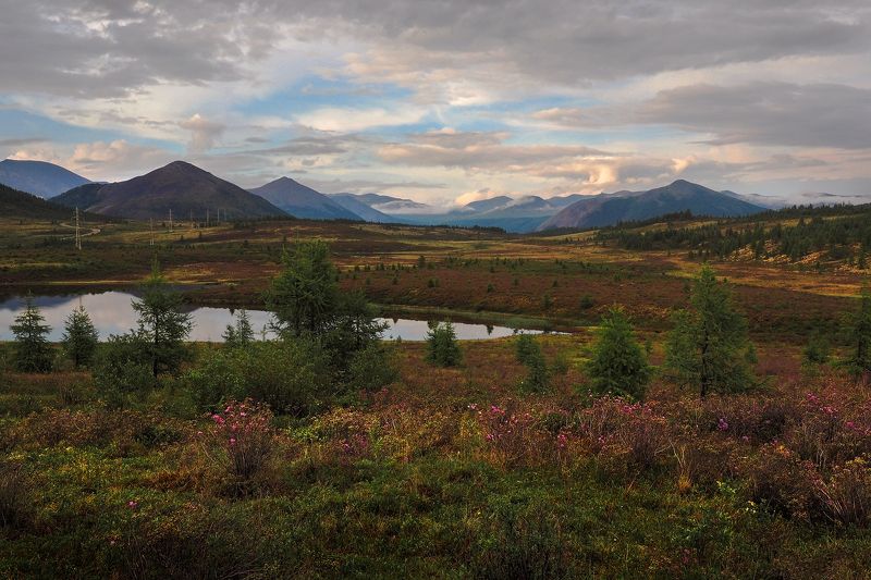 По дороге на Самарту фото превью