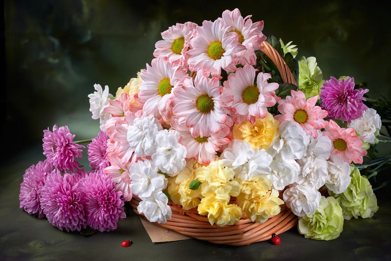 Blossom фото превью