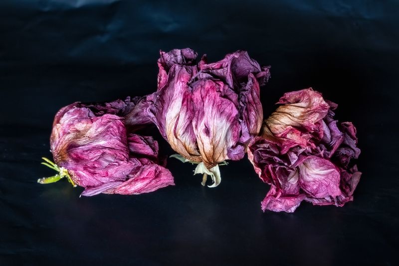 Фиолетово-чёрный фото превью