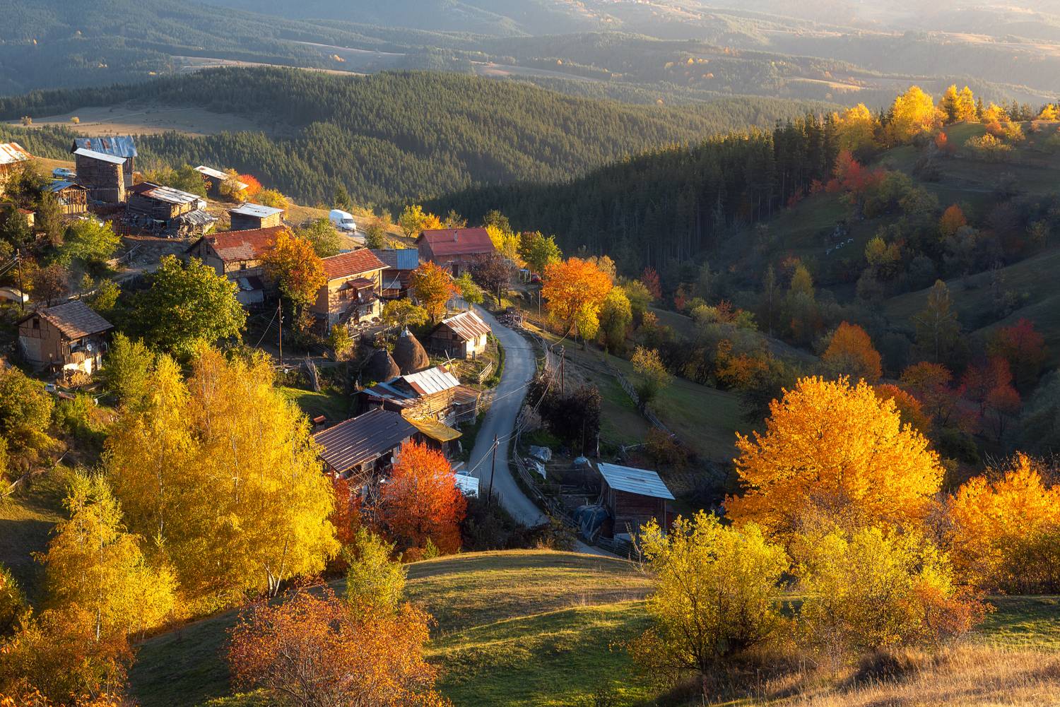 , Mariyana Atanasova - Lucero