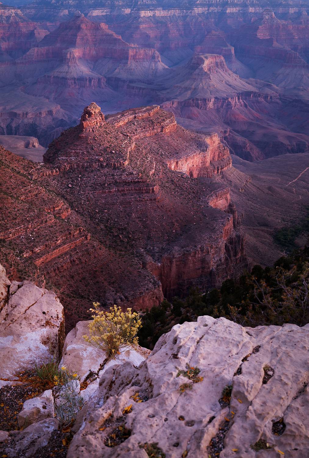 Grand Canyon, Red rocks, sunset, Azirona, Gubski Alexander