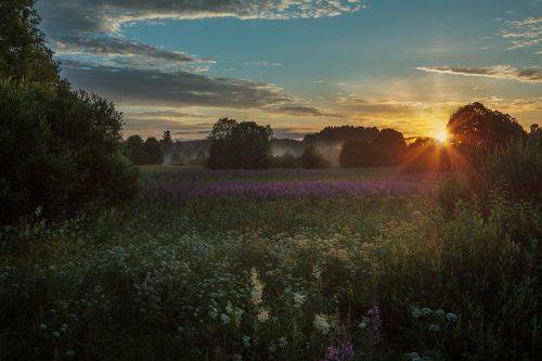 Лучики на прощанье