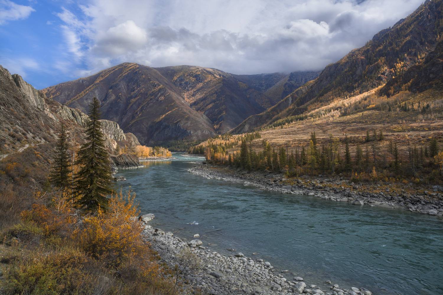 россия, горный алтай, река катунь, осень, краски осени, Андрей Поляков