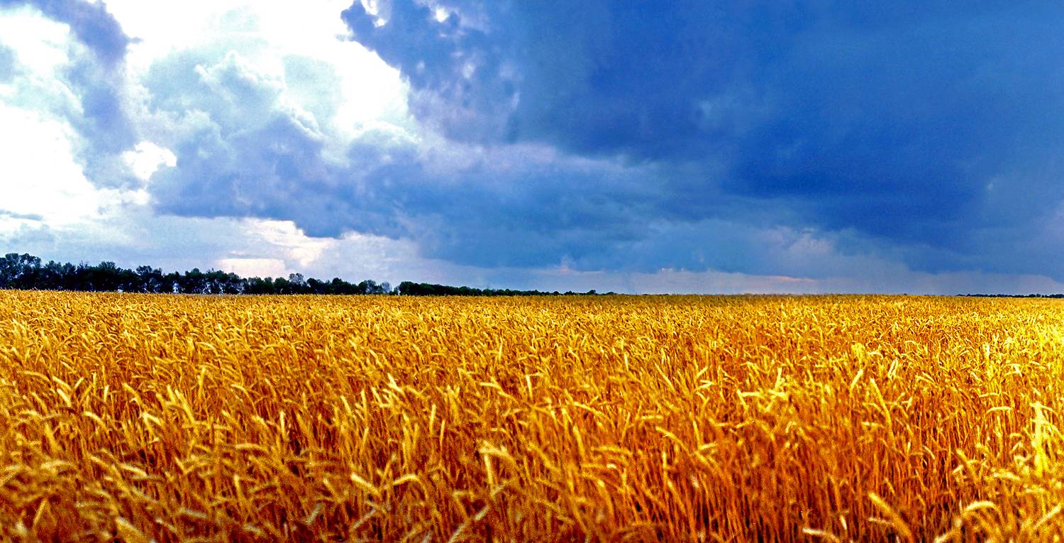 , Андрей Петросян