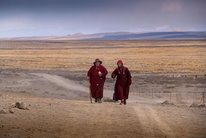 тибет, кора, кайлас, tibet, kailash, нд, тибет 2024 Возвращение фото превью