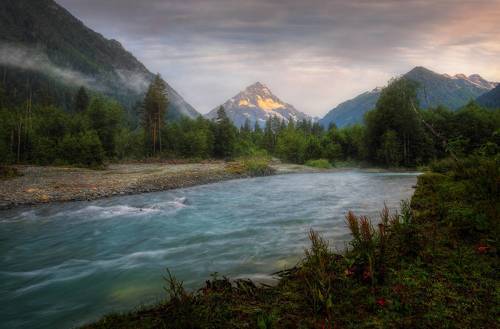 На берегах Пшиша