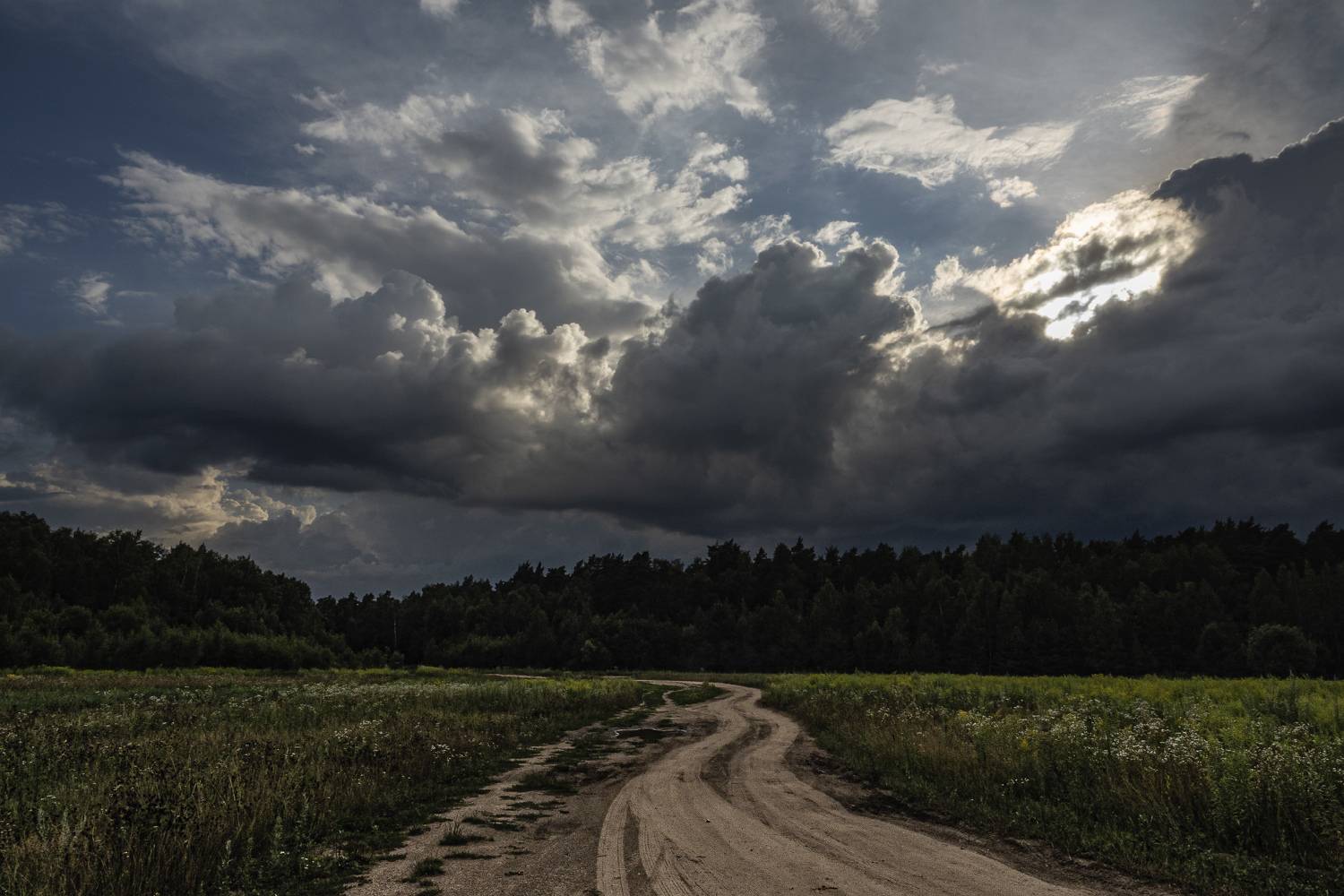 , Владимир Штыриков