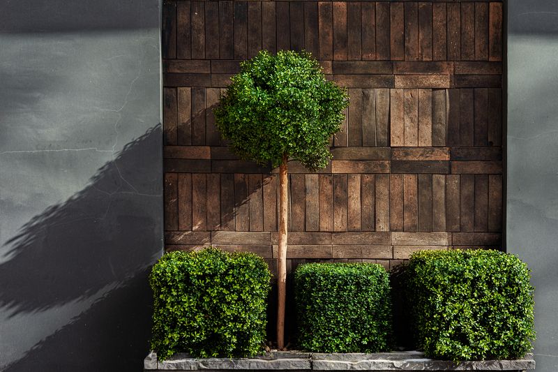 Кустарная геометрия фото превью