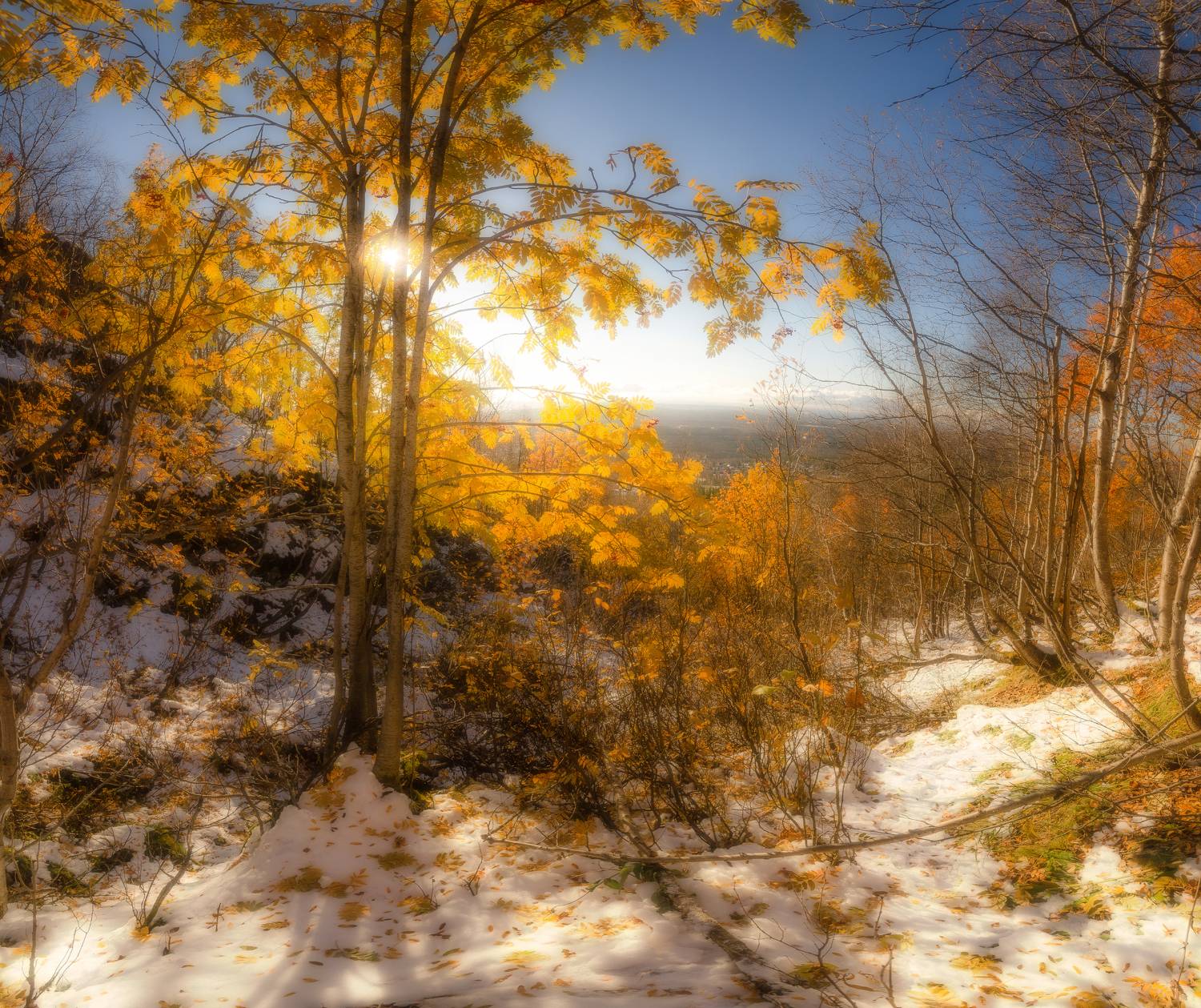 , Абрамов Денис