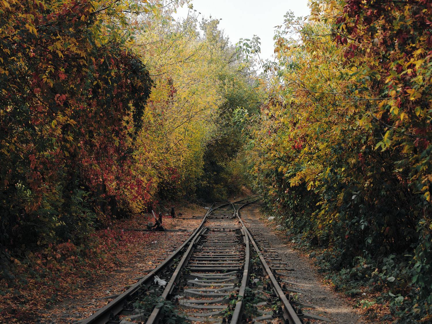 Воронеж, Сячин Саша