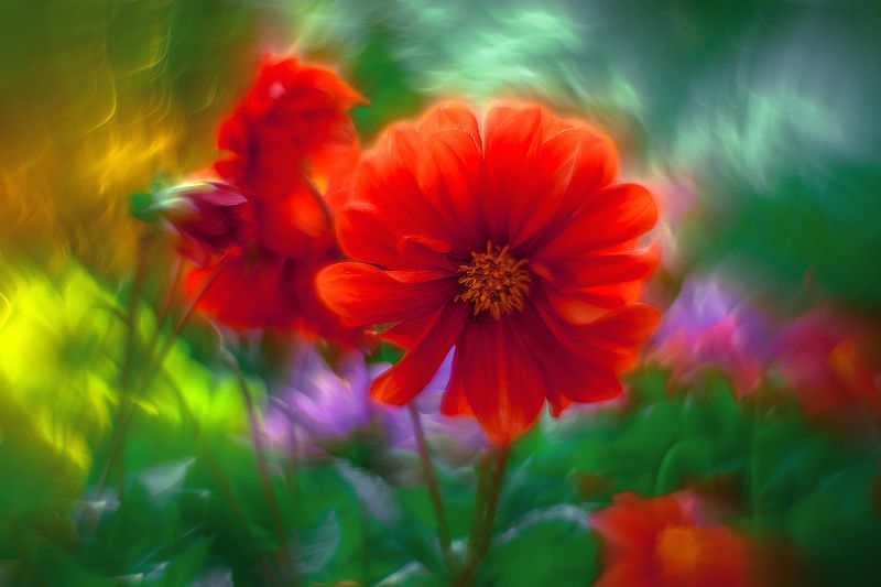 фото превью