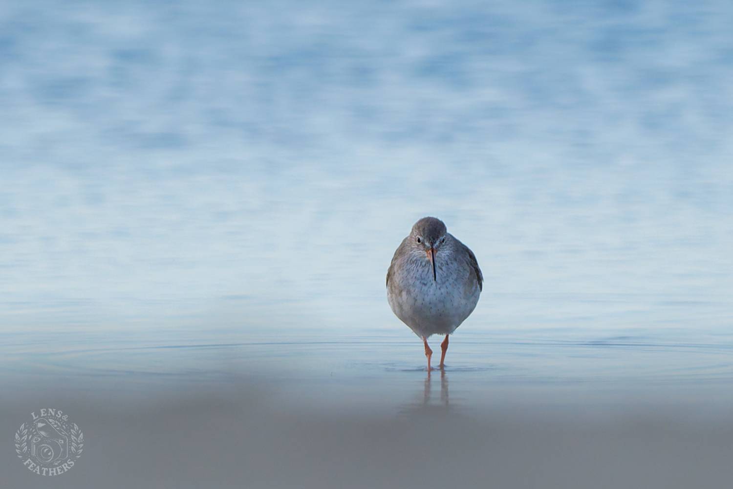 , Евгени Стефанов
