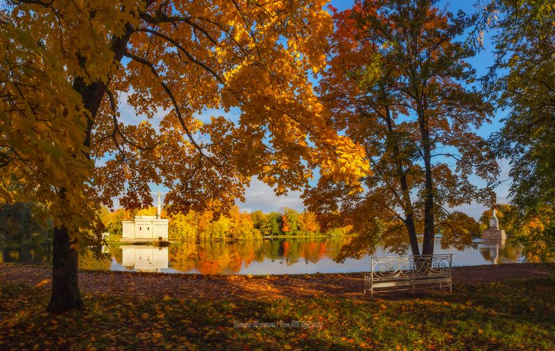 питер, пушкин, царское село, царское,  landscape, tsarskoye selo, autumn,  городской пейзаж, санкт-петербург, рассвет Парад осени в Царском Селе фото превью