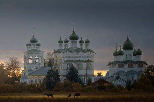 Новгородская область