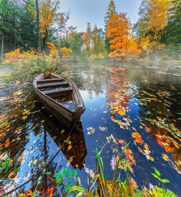 осень... фото превью