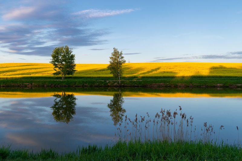 *** фото превью