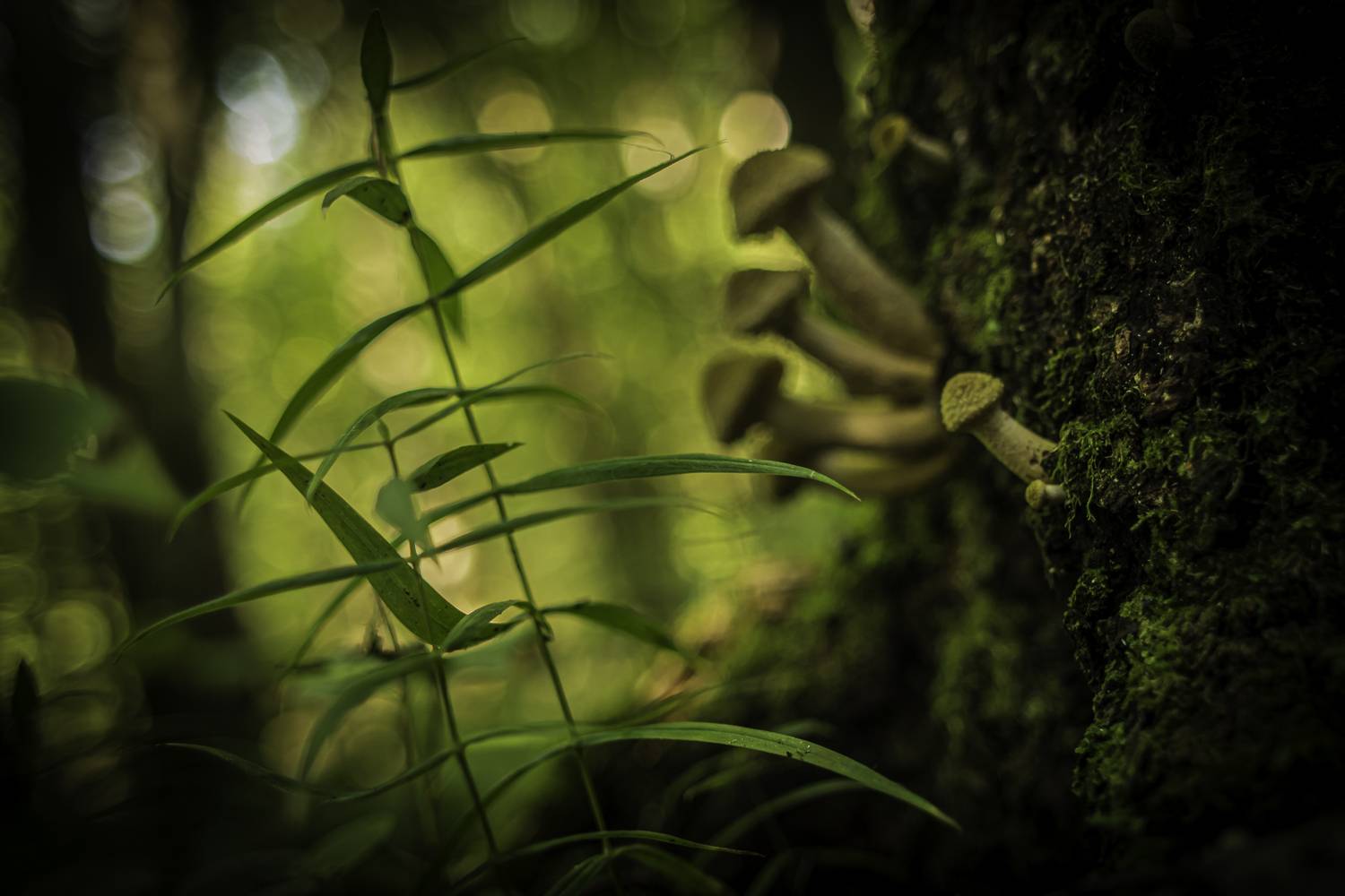 природа, Виктор Парщиков