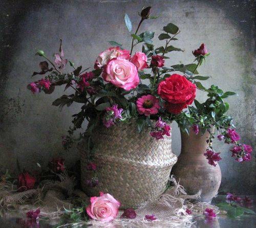 Осенние розы