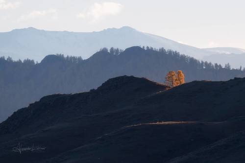 Осенние градиенты...