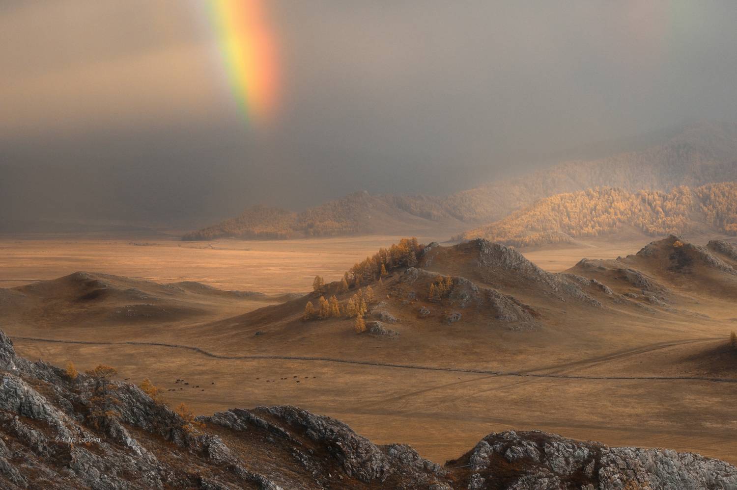 алтай,горный алтай,октябрь,усть-кан, Юлия Лаптева