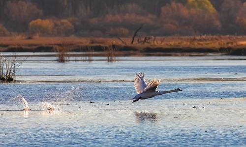 Отрыв от воды