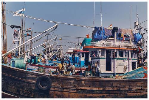 Fisherman's Life