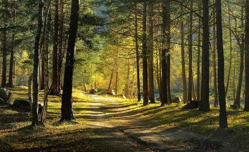 Садилось солнце