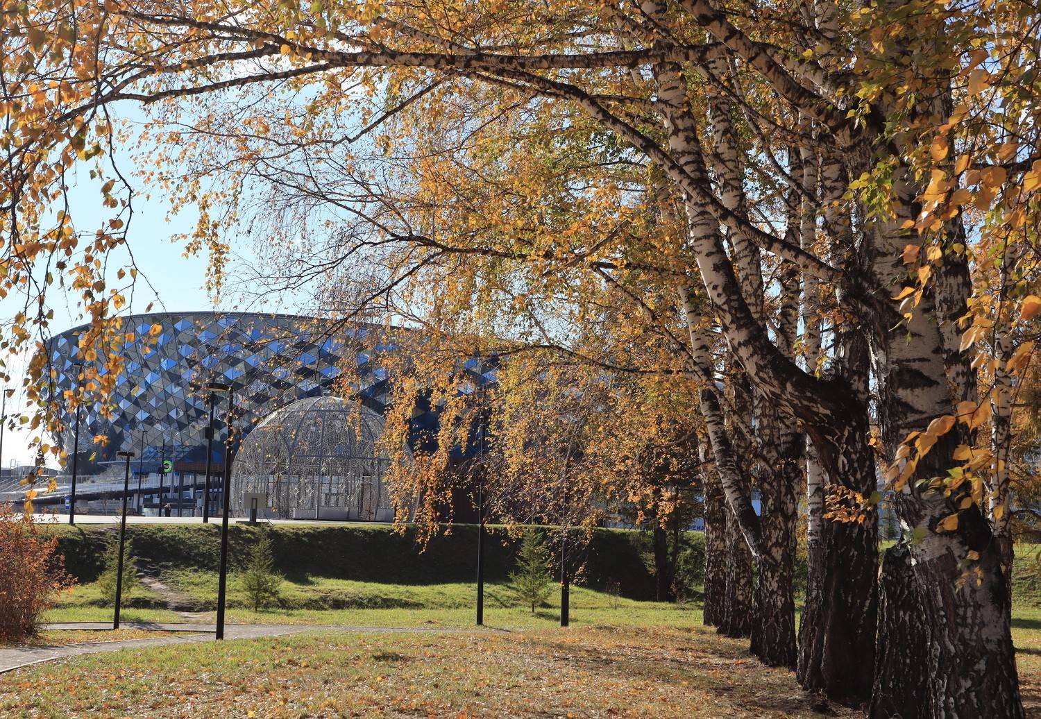 новосибирск,парк,осень,берёзы,ледовый дворец, Козлова Галина