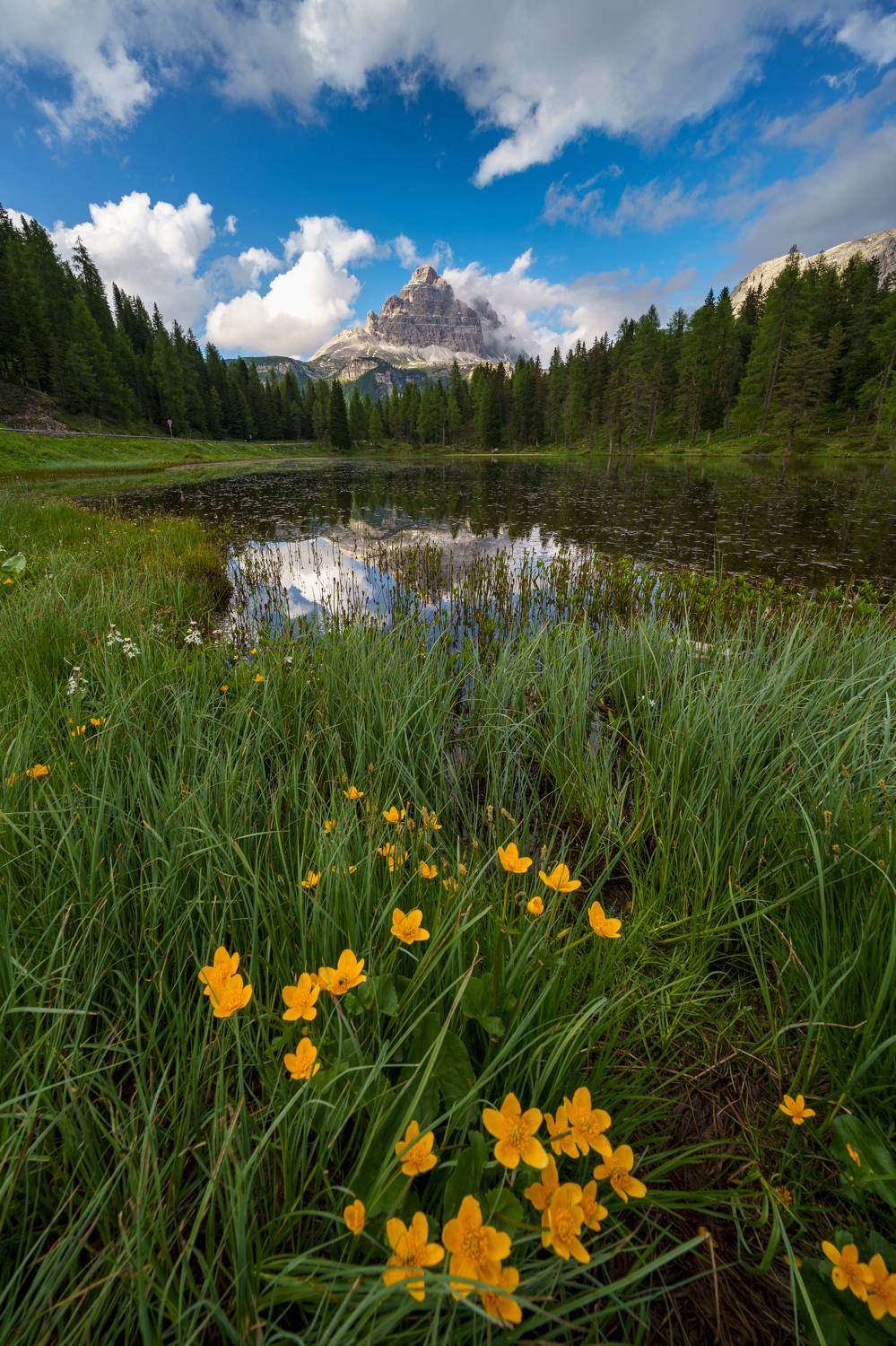 italy, dolomiti, mountains, landscape, lake, mirror, nature, flowers, cloud , Igor Sokolovsky