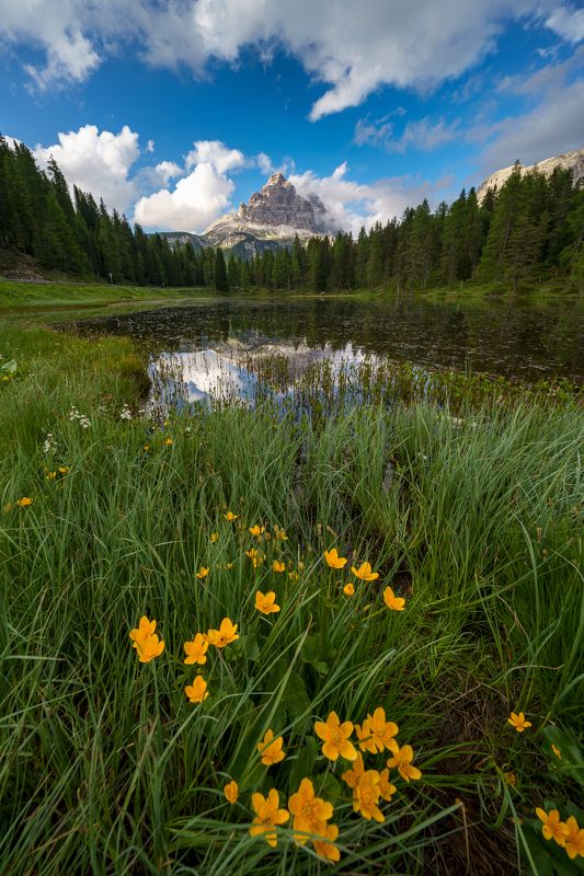 italy, dolomiti, mountains, landscape, lake, mirror, nature, flowers, cloud  Tre Cime di Lavaredo фото превью