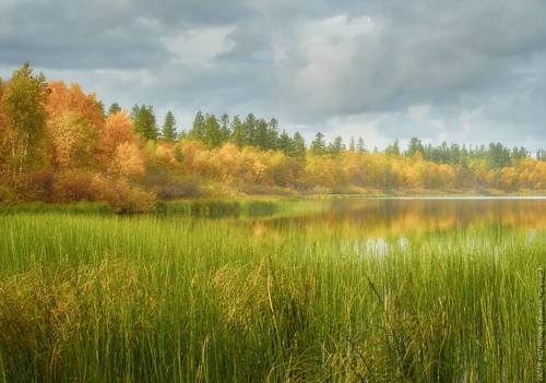 Осеннее настроение