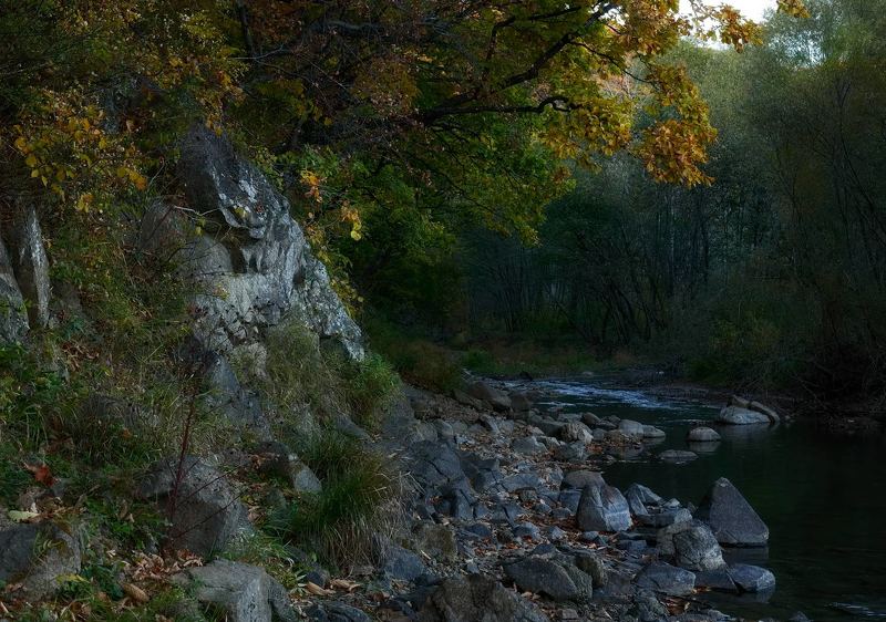 старое, русло, ручей, осень, скала, вечер, приморье ручей под скалой фото превью