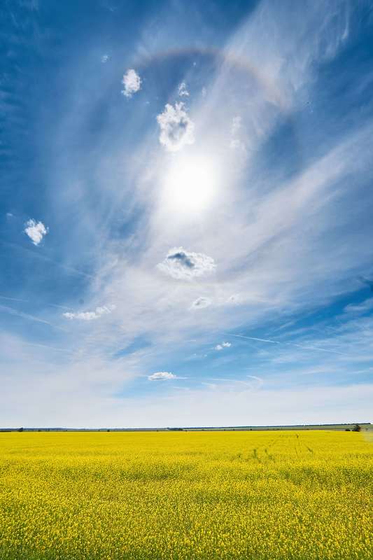 # фото превью