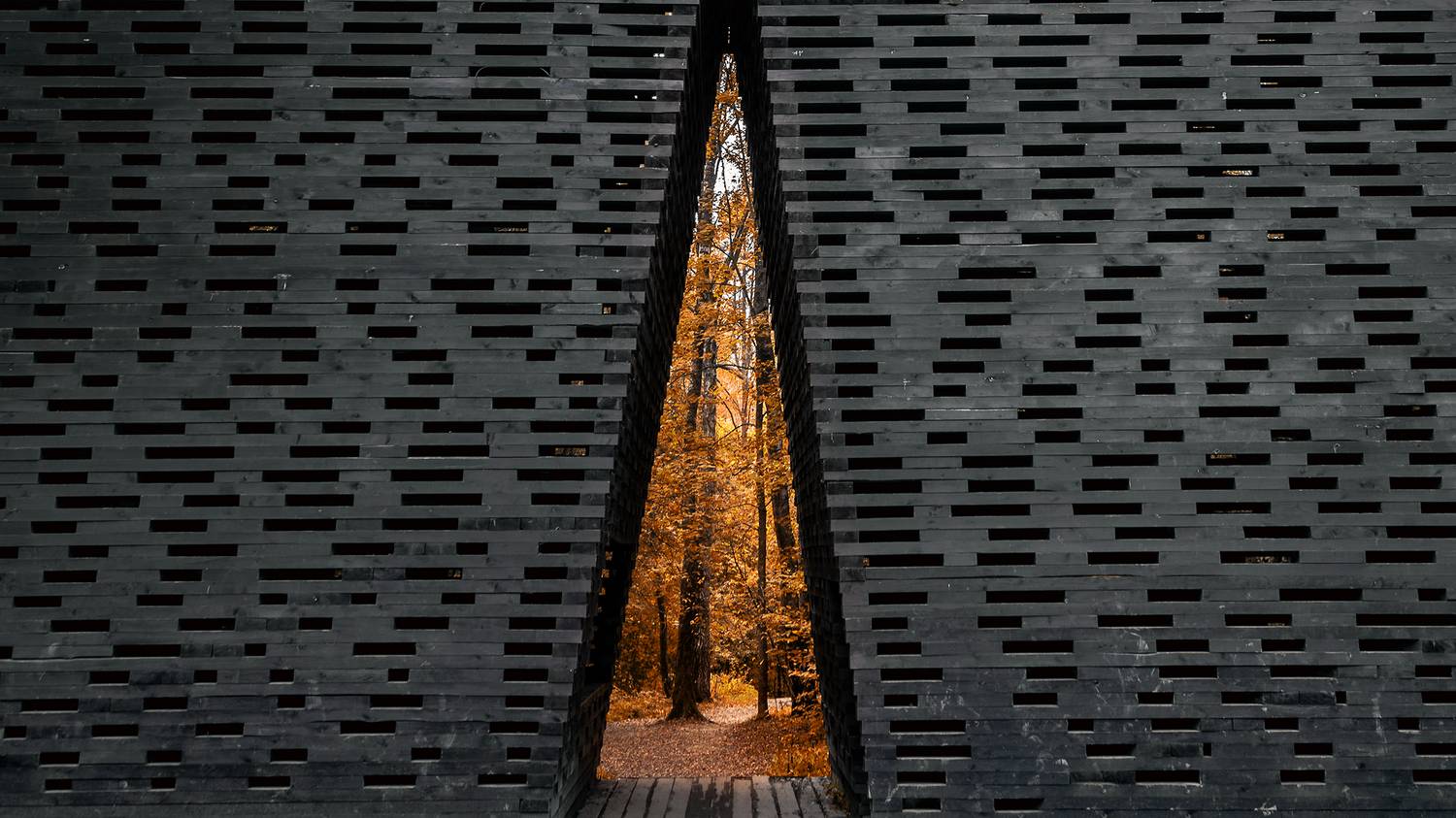 , Владимир Ноздрачев