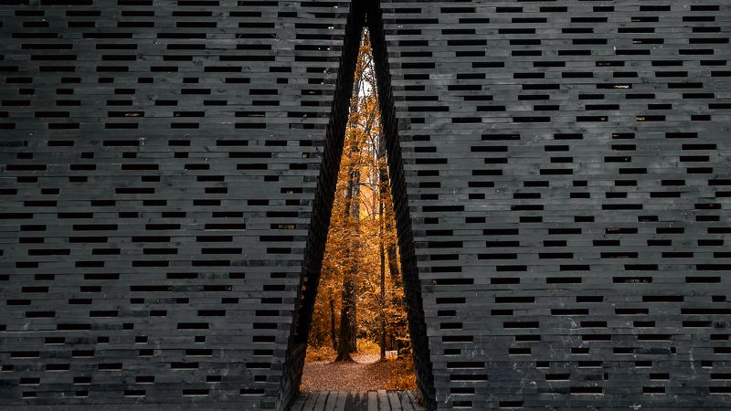 Вход в осень фото превью