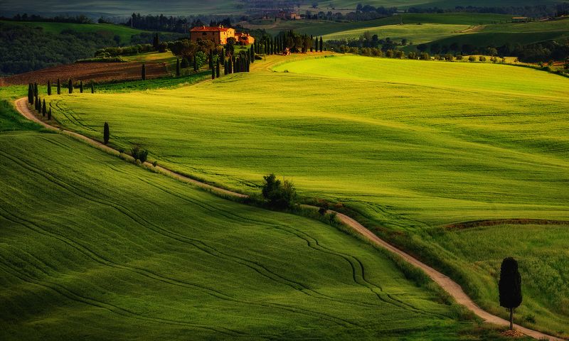 ... фото превью