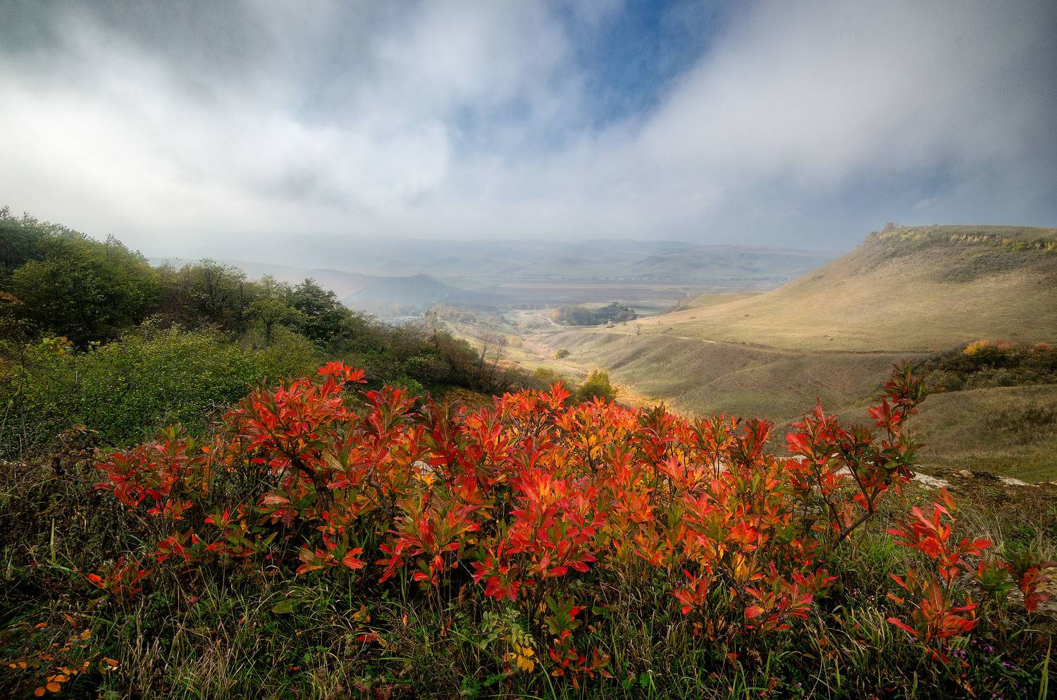 , Шевченко Юрий