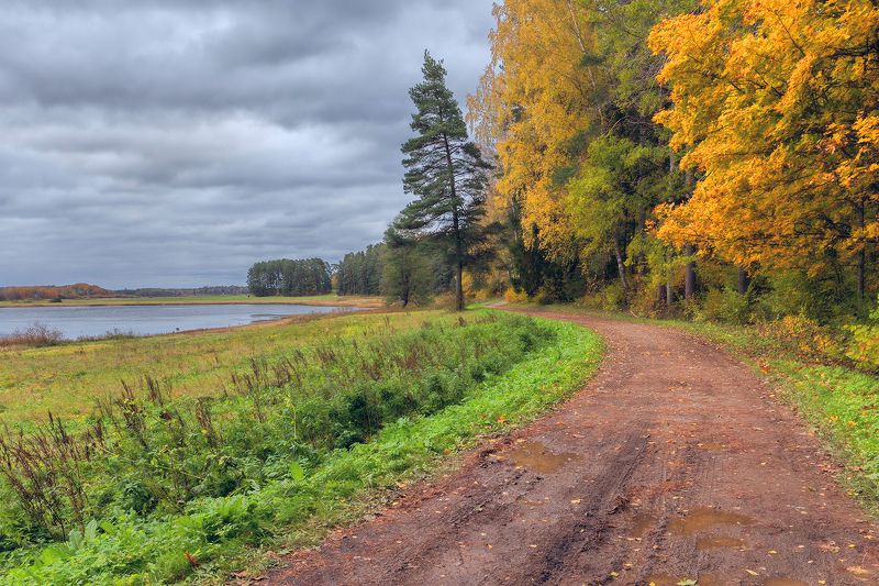 осень в Михайловском фото превью