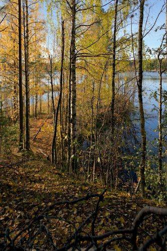 Золотая осень на Беломорканале