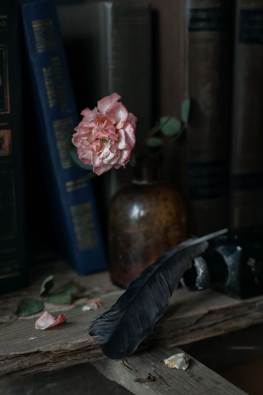 .... фото превью