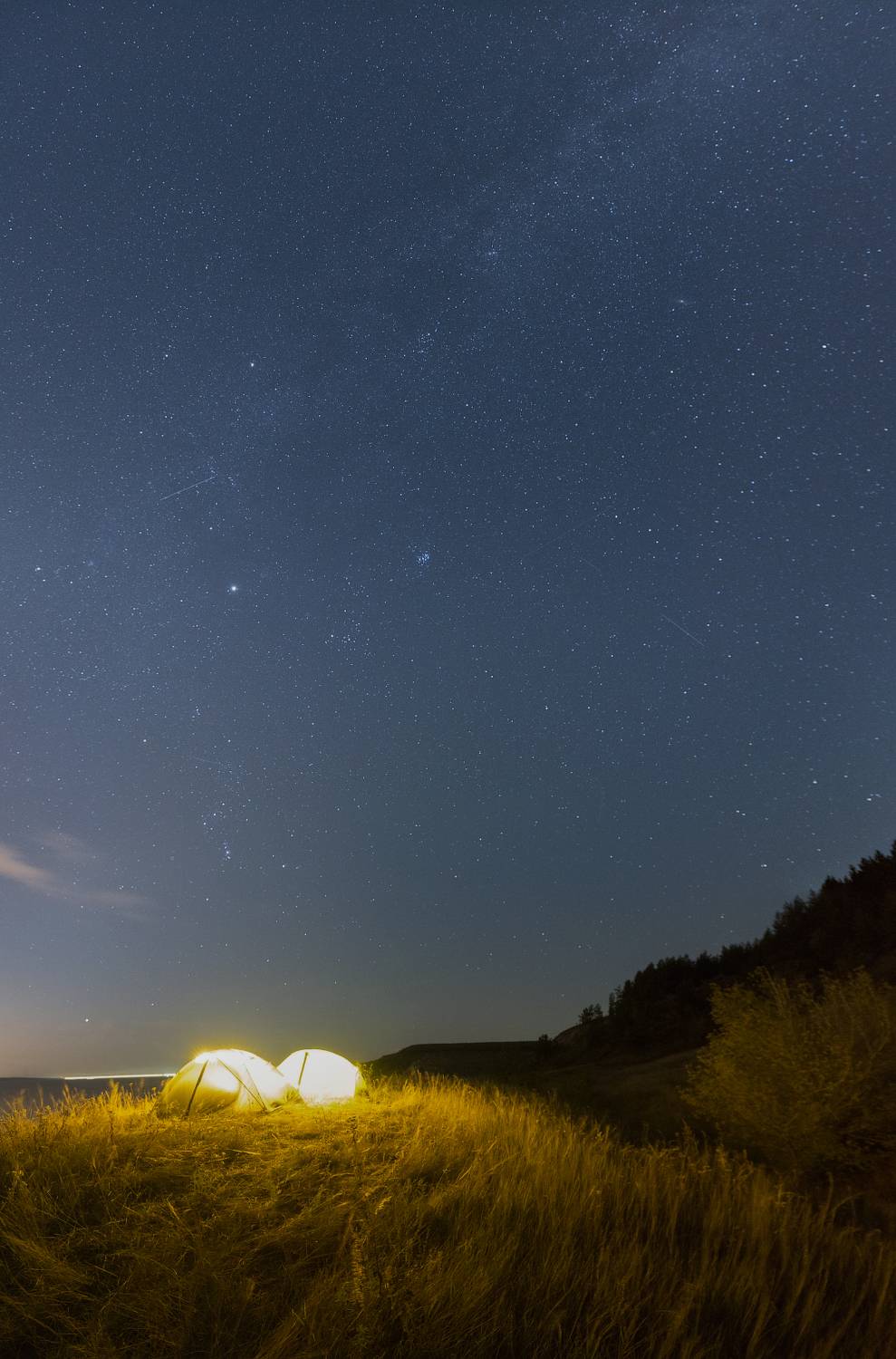 , Алексей Проняхин