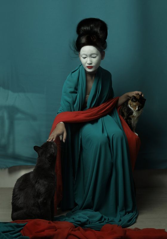 Гладить котов фото превью